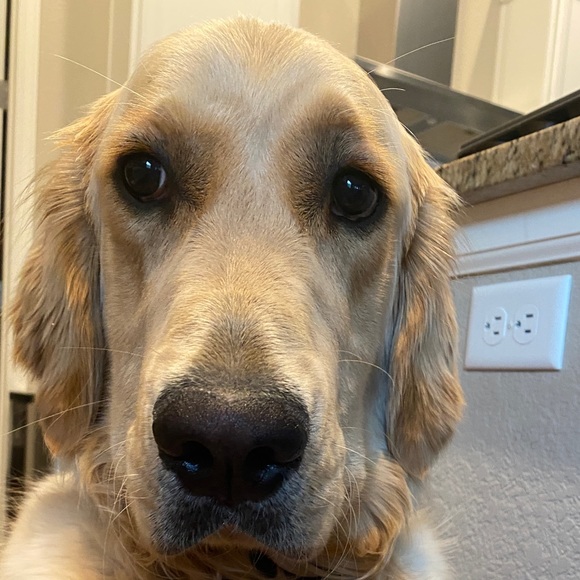 Meet your Posher, Lindsey - Picture 1 of 2